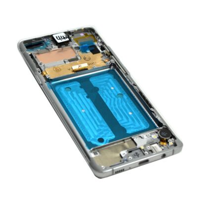 S10 5G Display Silver