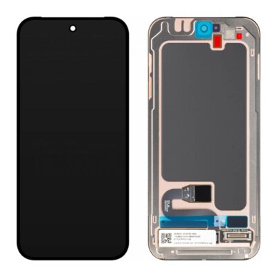 Ecran Original Google Pixel 10